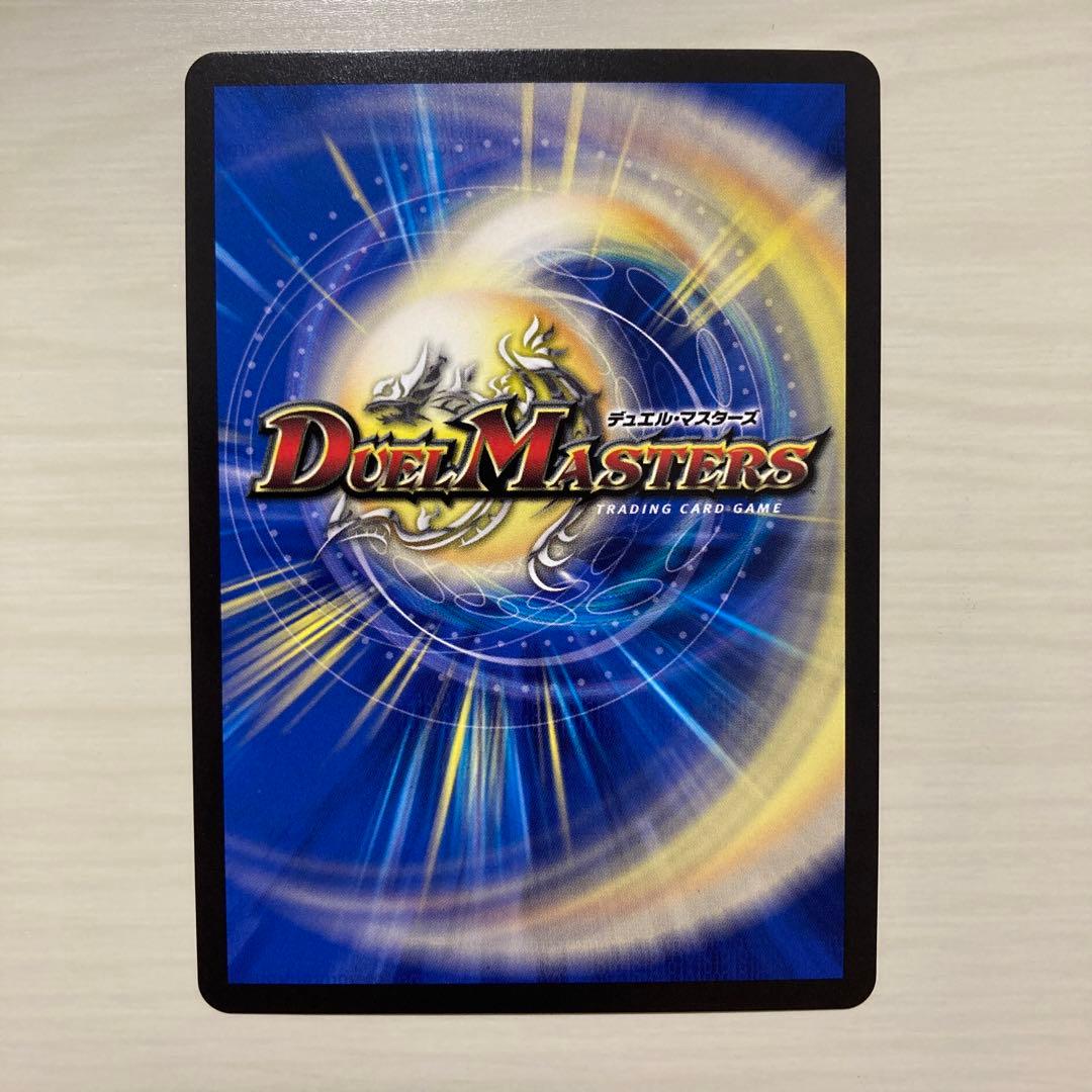 メルカリ便 飛翔龍 5000VT CS プロモ