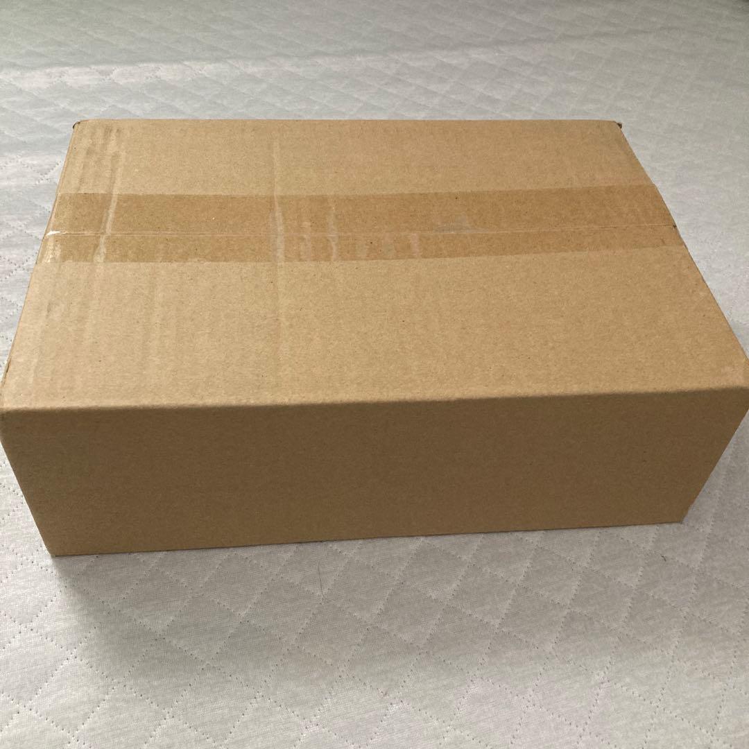 S.H.Figuarts 真骨彫製法 仮面ライダー2号 一文字隼人