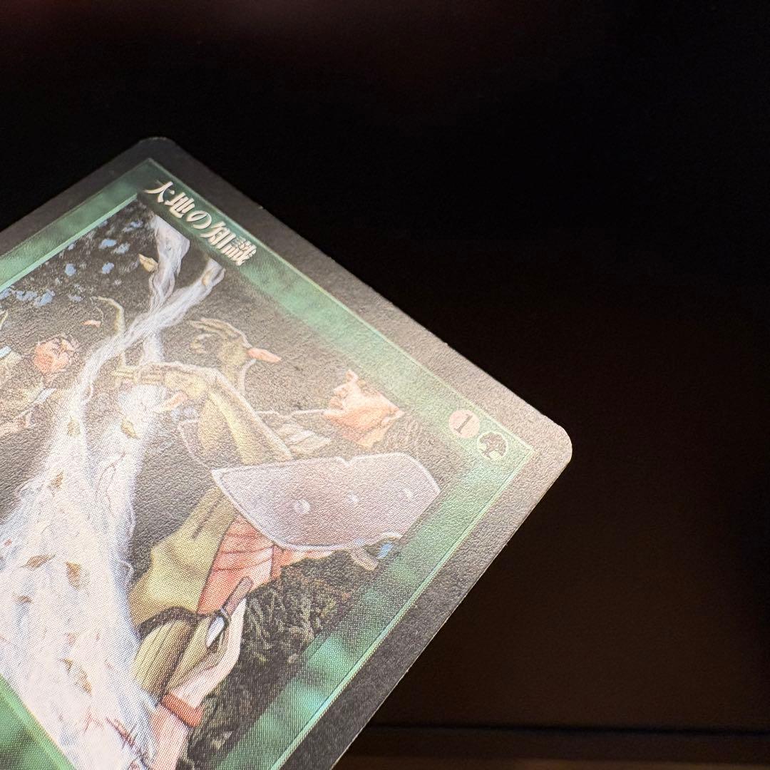 大地の知識 Earthcraft 日本語 JP TMP MTG