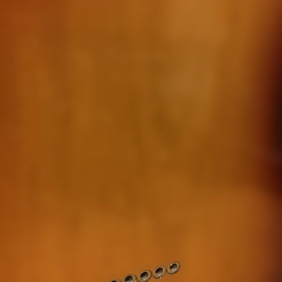 バッカス Bacchus GLOBAL SERIES テレキャスター ケース付