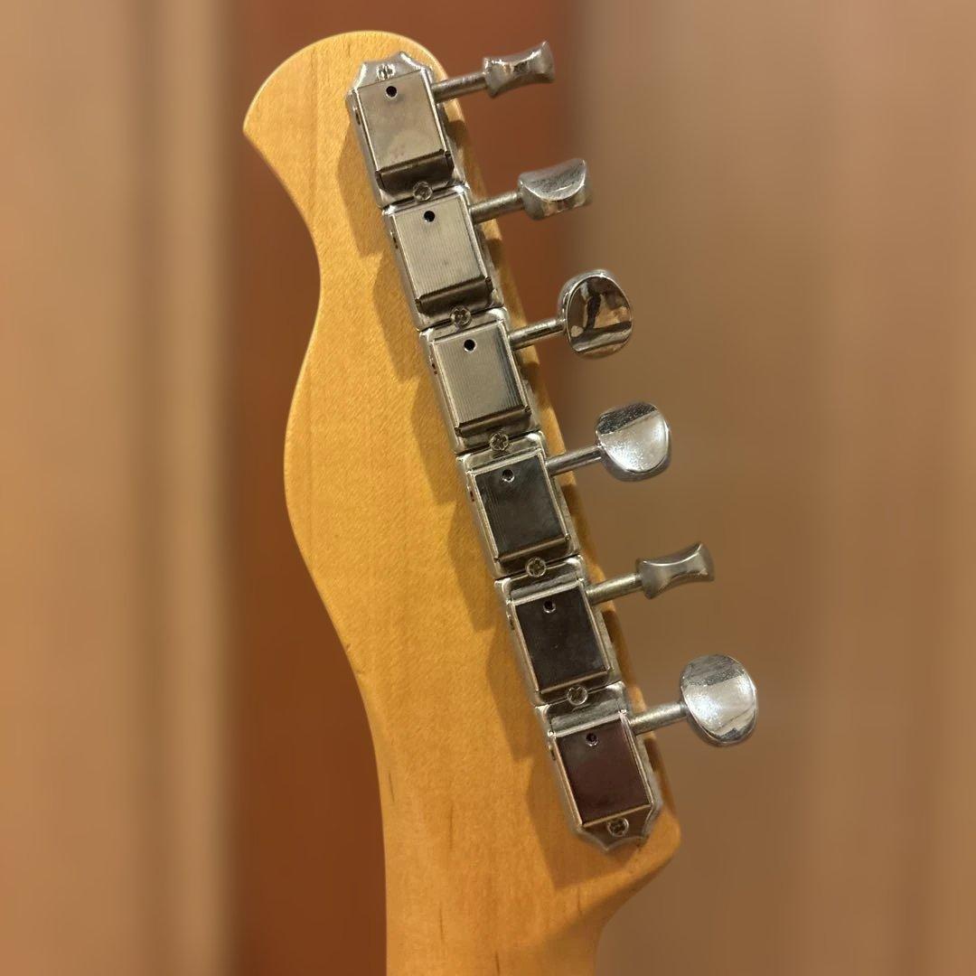 バッカス Bacchus GLOBAL SERIES テレキャスター ケース付