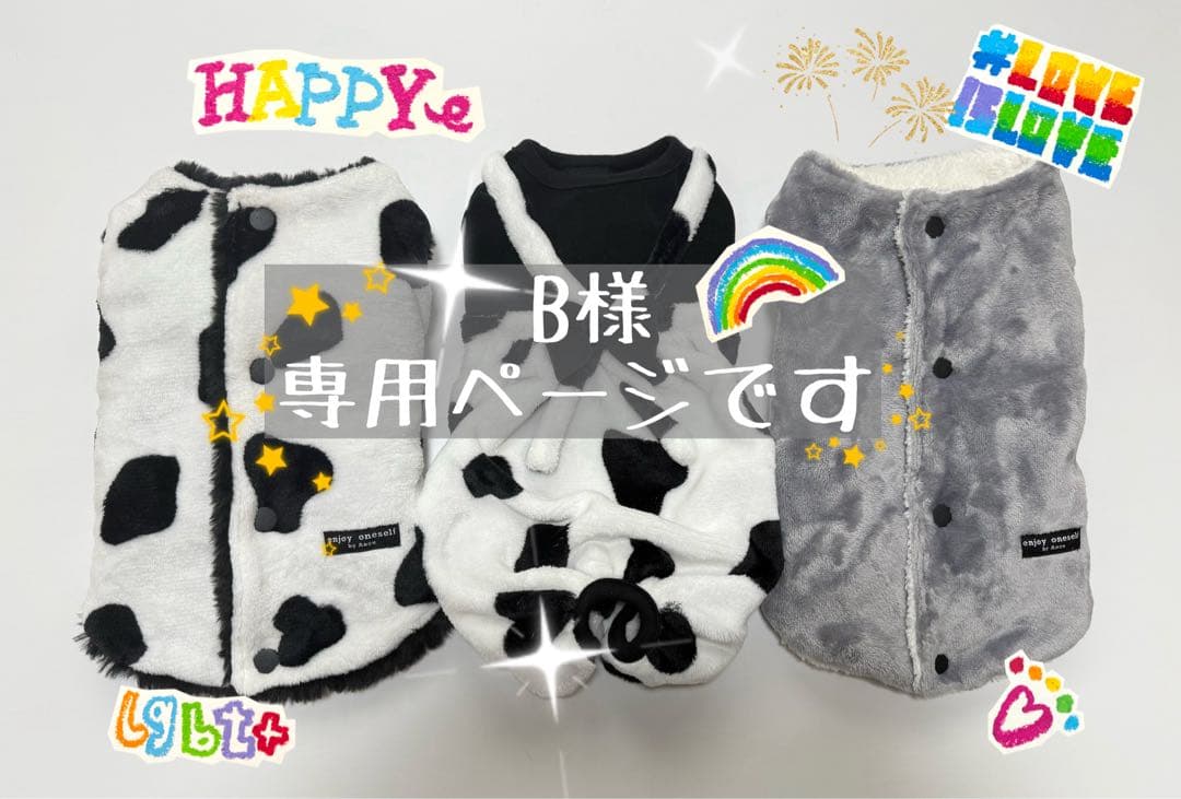 Bページです　ダックス　ダックスフンド服　アウター