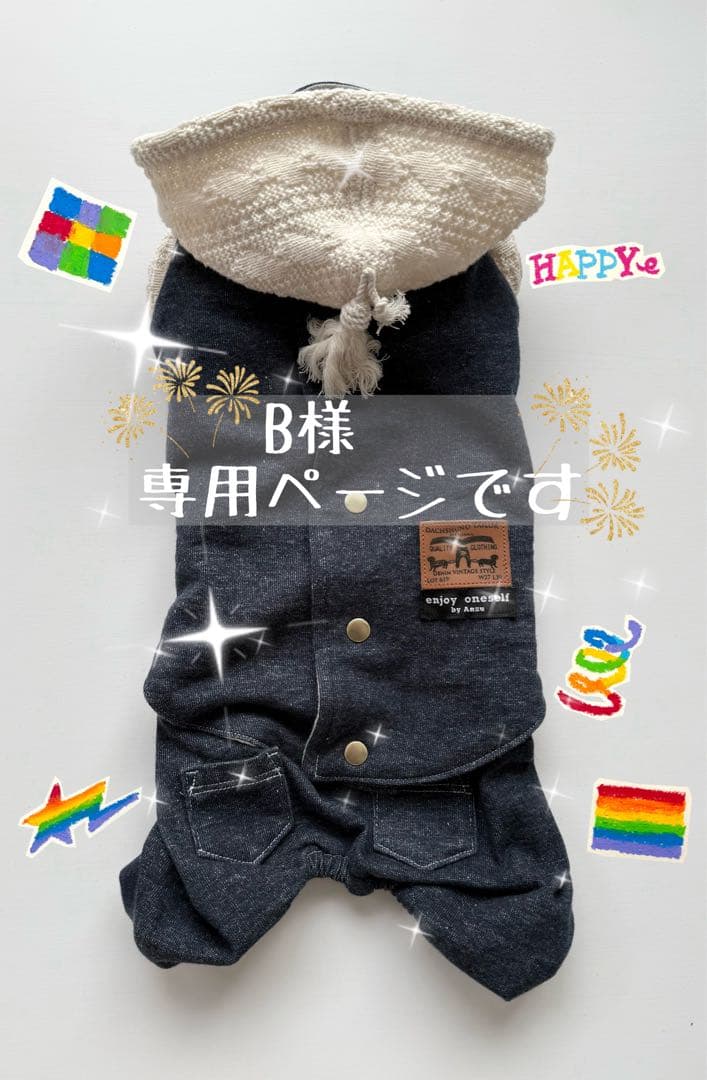 Bページです　ダックス　ダックスフンド服　アウター