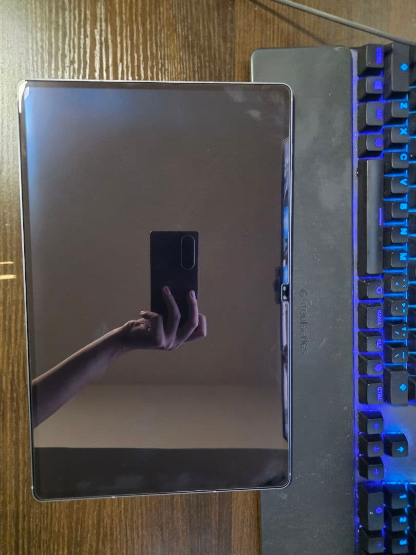 Galaxy Tab S10 Ultra（日本国内版 12+ 256GB）グレー