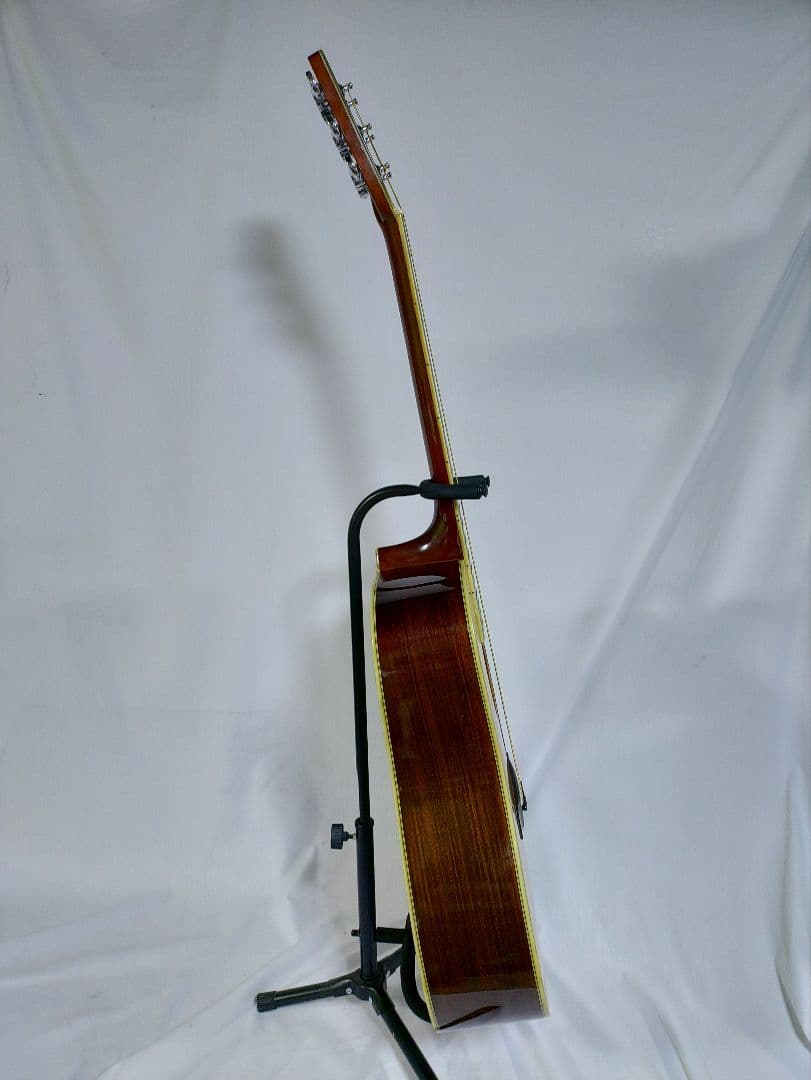 MORRIS　 SPECIAL　 TF 80 　　　製造年　不明