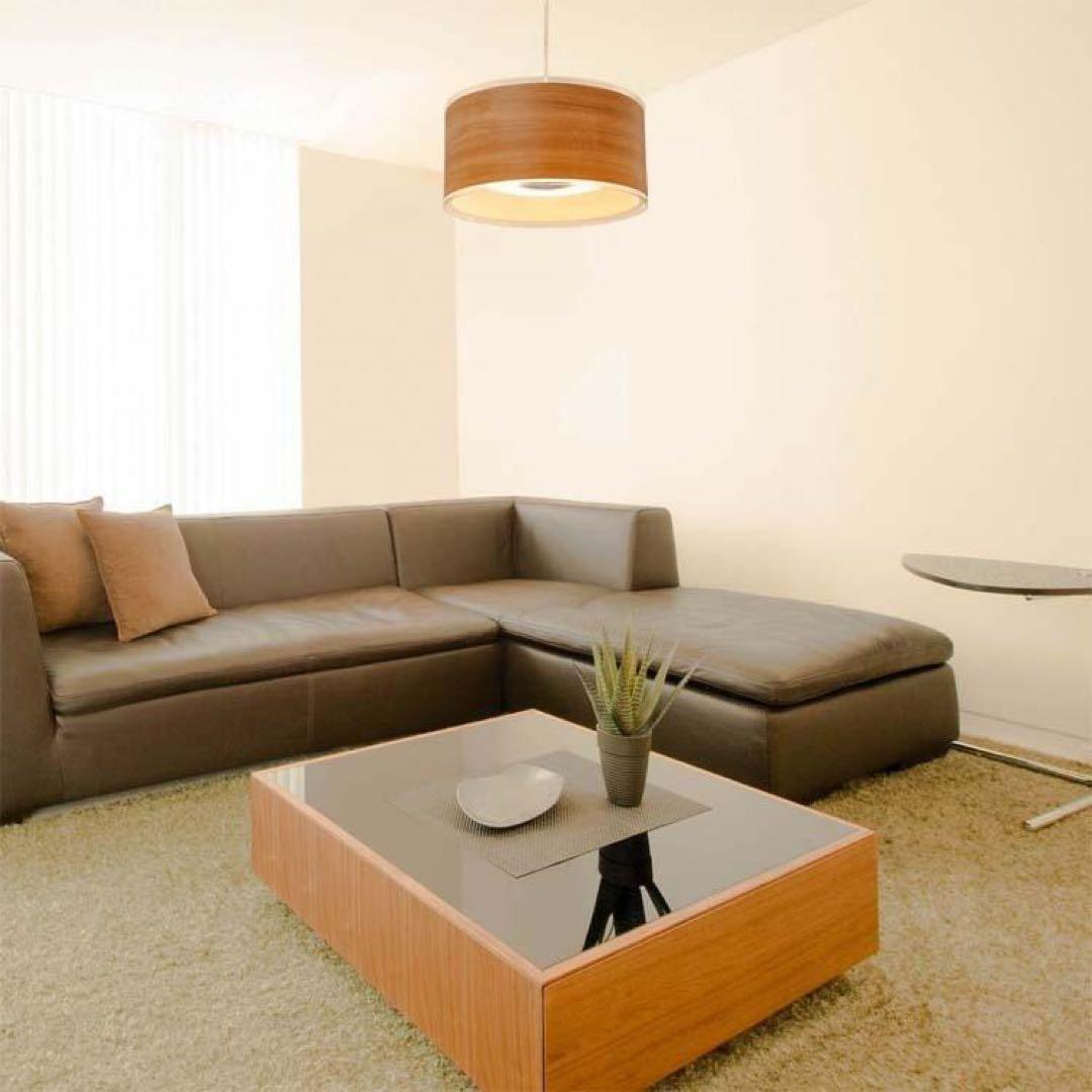 アイリスオーヤマ LEDペンダントライト PLM8DL/DL-FDWN