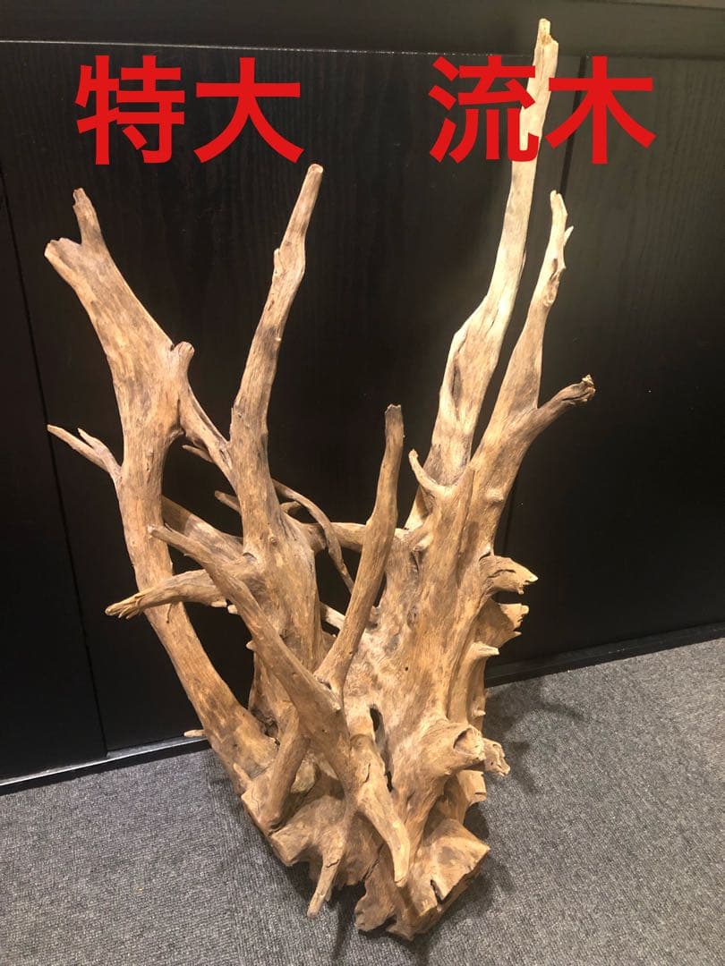 特大流木 水槽用レイアウト用品　現在交渉中