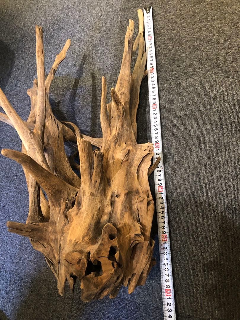 特大流木 水槽用レイアウト用品　現在交渉中