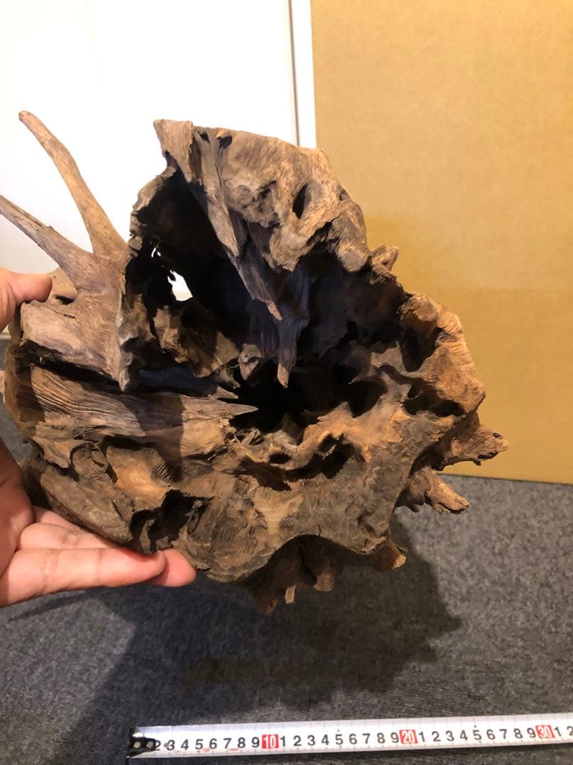 特大流木 水槽用レイアウト用品　現在交渉中