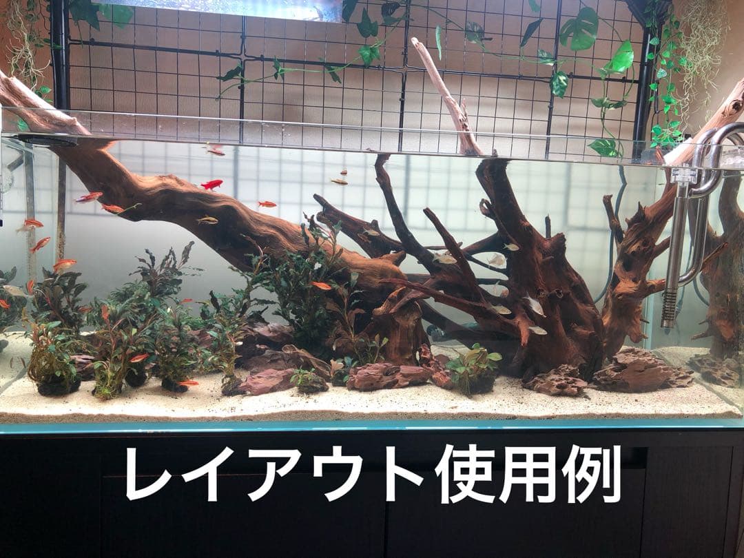 特大流木 水槽用レイアウト用品　現在交渉中