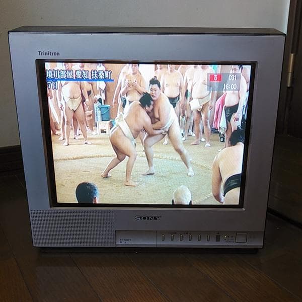 SONY ブラウン管 テレビ Trinitron KV-14MF1 14インチ