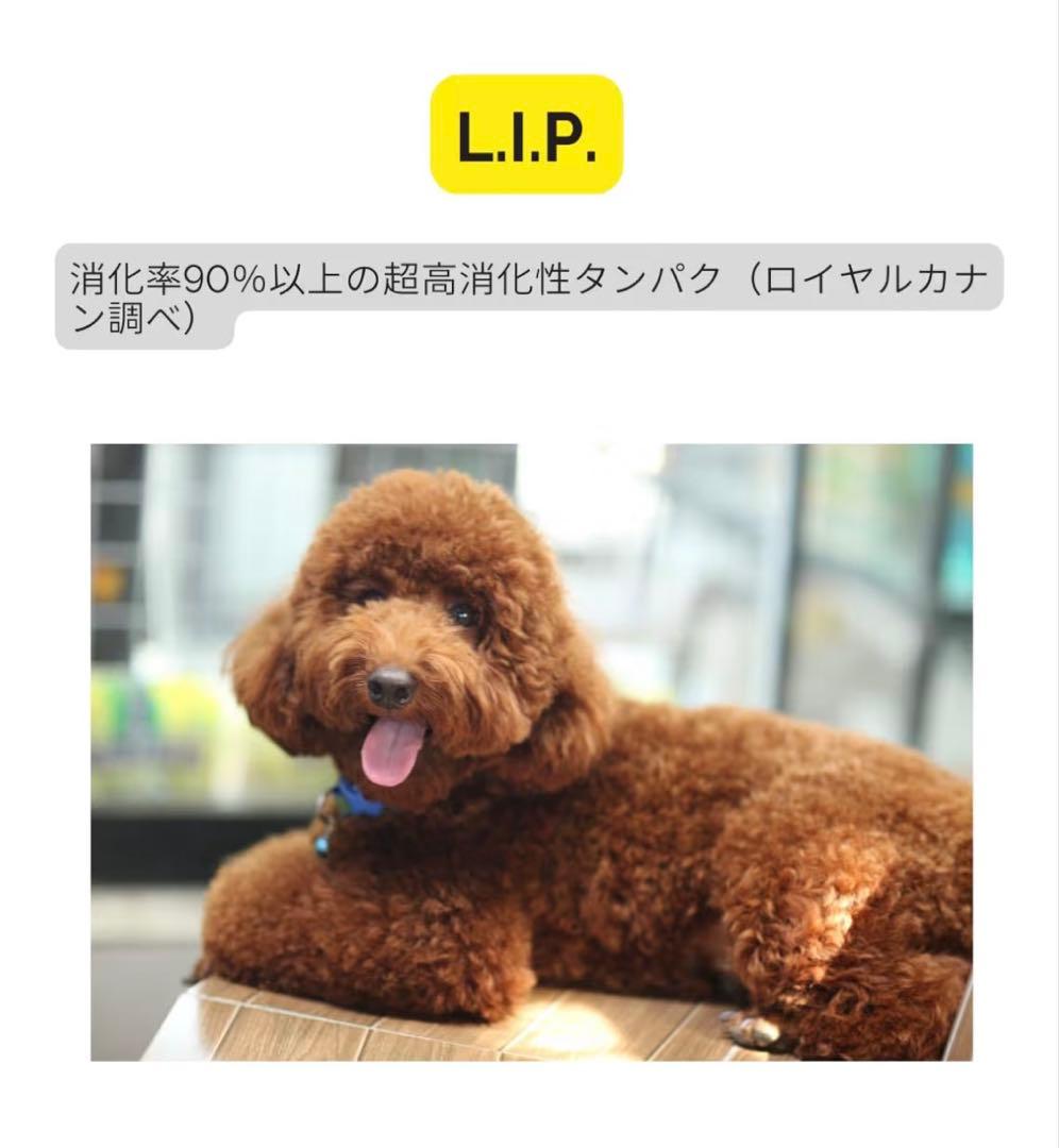  CANIN プードル ドライフード 7.5kg x3