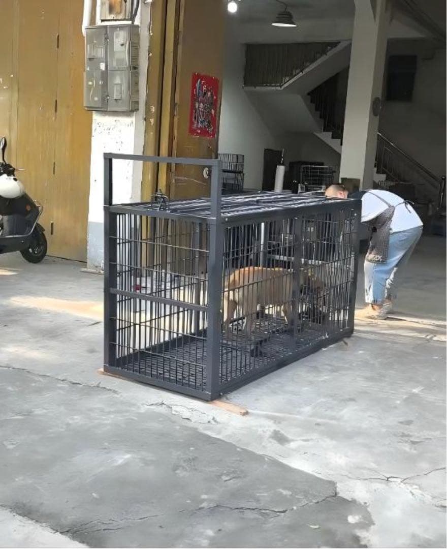 補強型 イノシシ・シカ用箱罠 犬小屋 片扉 2mx1mx1m (福山営業所止め）