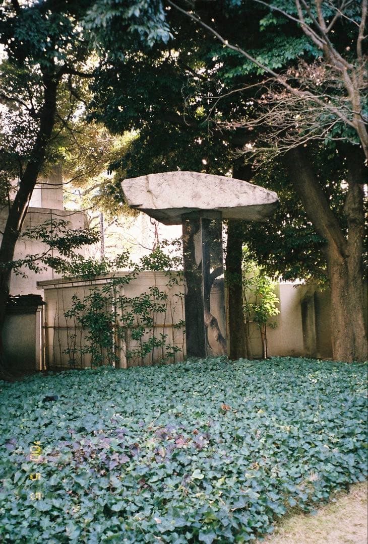 【動作確認済】OLYMPUS μ[mju:]-II 115 VF フィルムカメラ