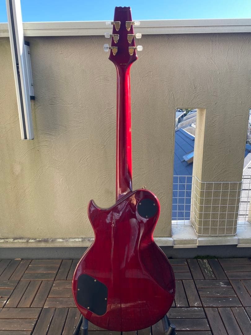 ギター Aria proII PE-DLX