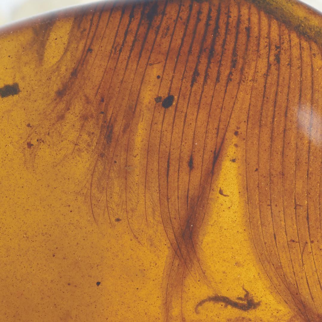 レア極上品 PA0078虫入り琥珀化石　ミャンマーカムティかタナイ9900万年前