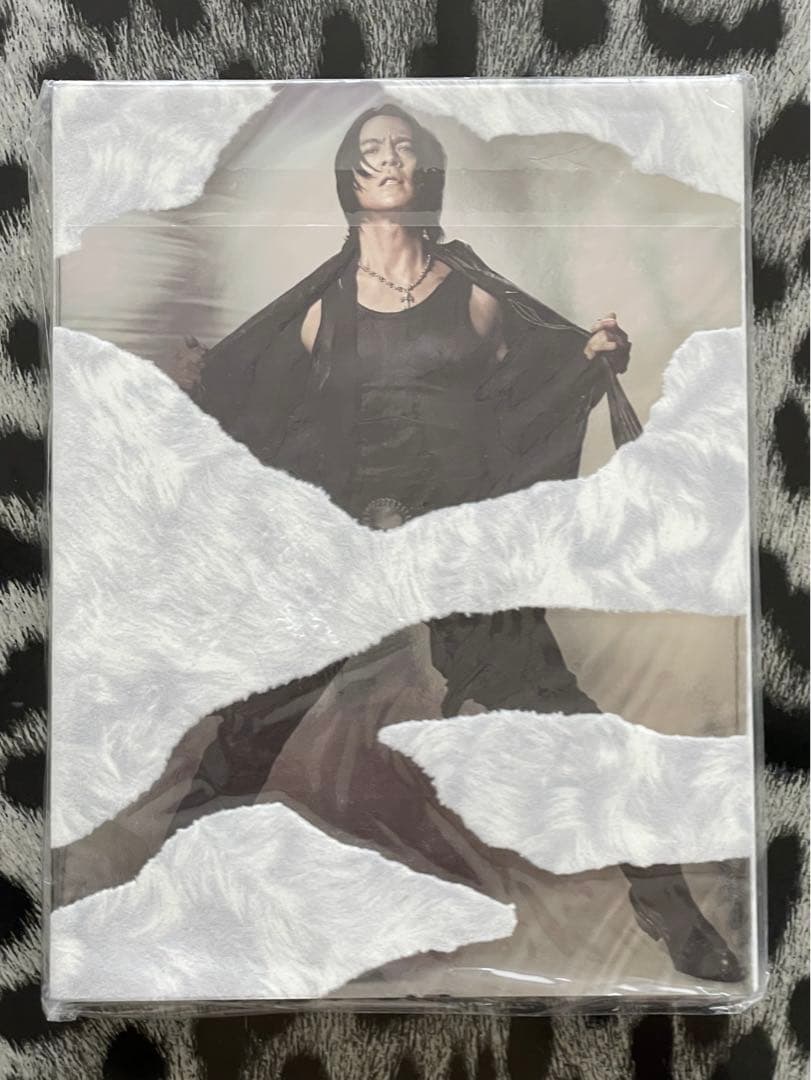 氷室京介/2010-11 BORDERLESSパンフ/ステッカー/缶バッチセット