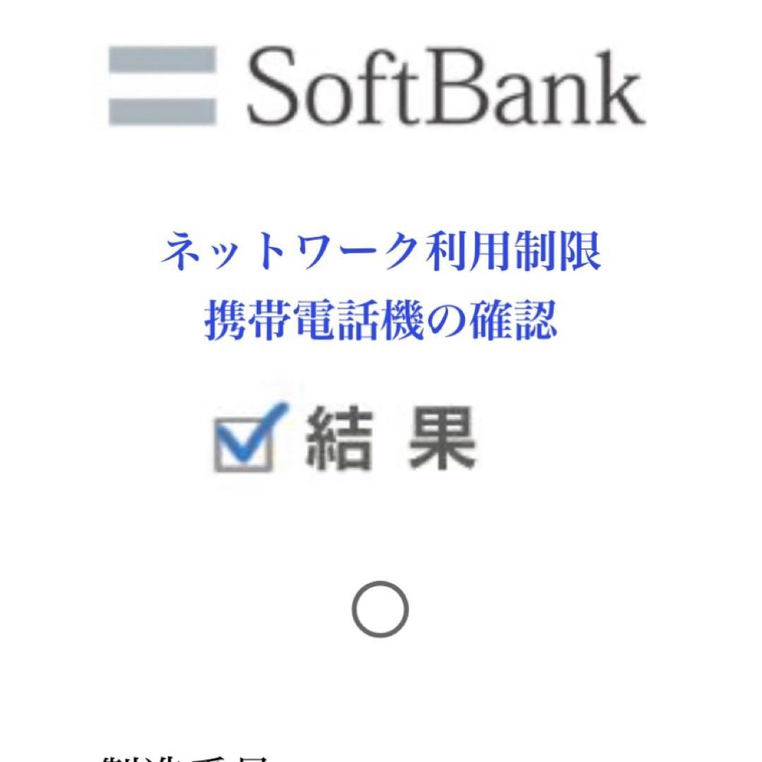 Apple iPad mini 6 セルラー　256GB 【バッテリー100%】