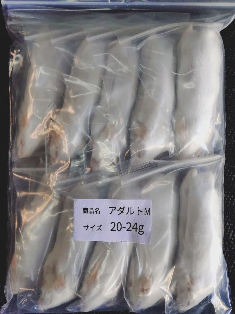 送料無料 冷凍マウスアダルトM100匹