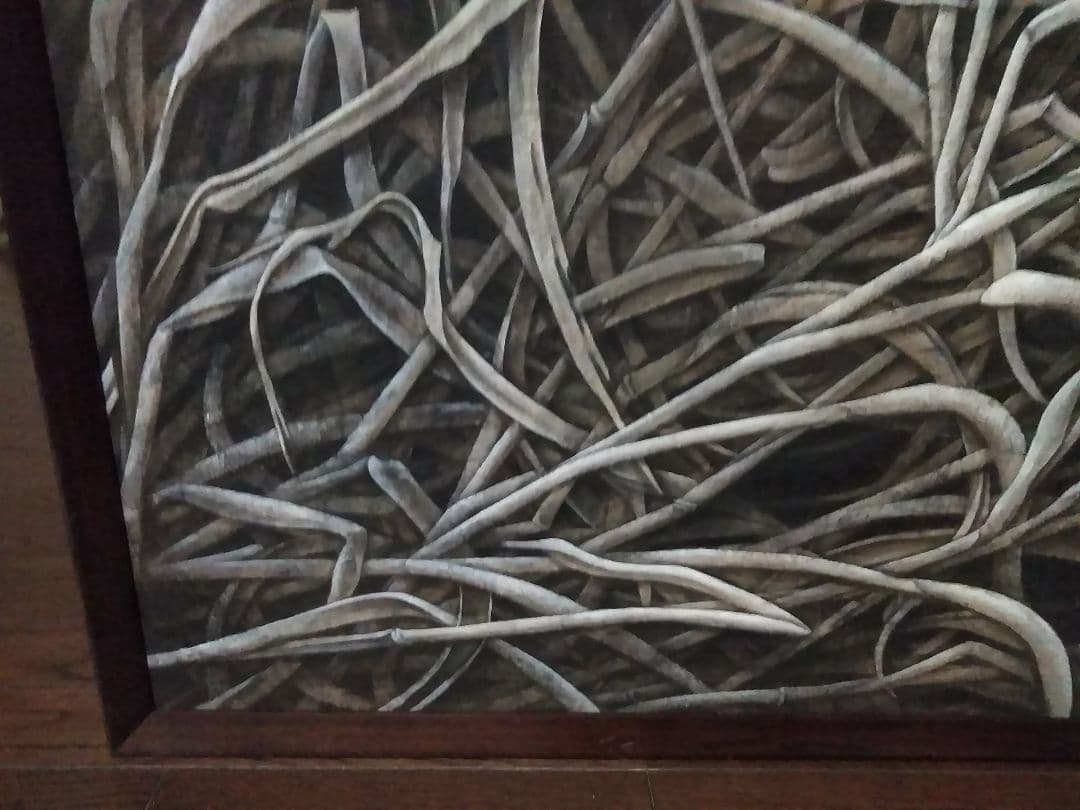 日本画(33)　すすき