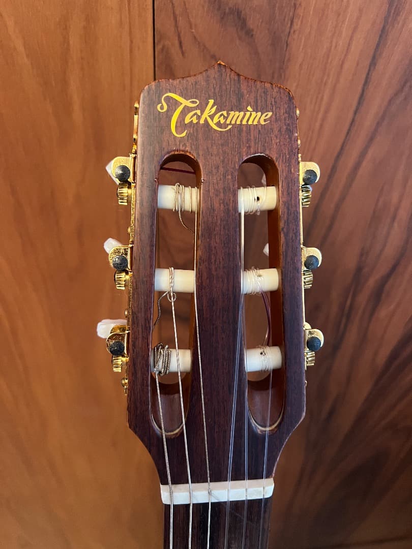 TAKAMINE NPT-110 エレガット