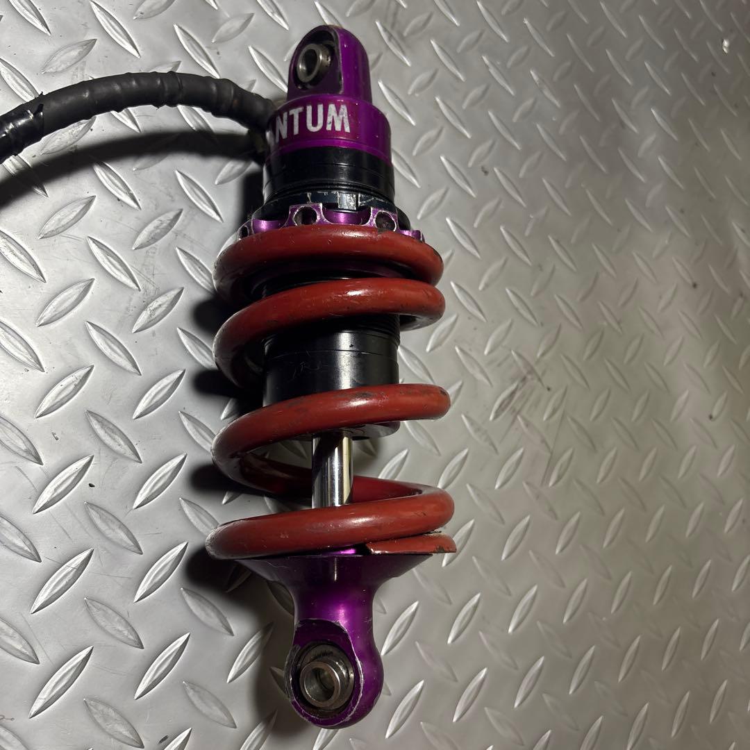 だ*。様 NSR50用QUANTUM サスペンションアイバッハ1100ポンドスプ