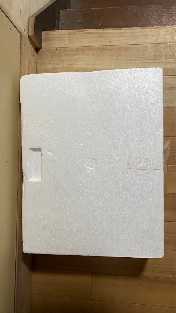 木製ロッキングホース 子供とおもちゃ付き