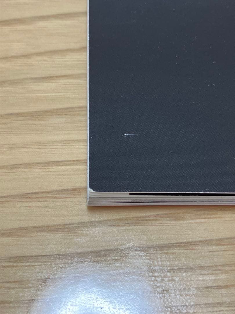 【限定】ポールマッカートニー 2013ツアータオル・パンフレット・チラシ