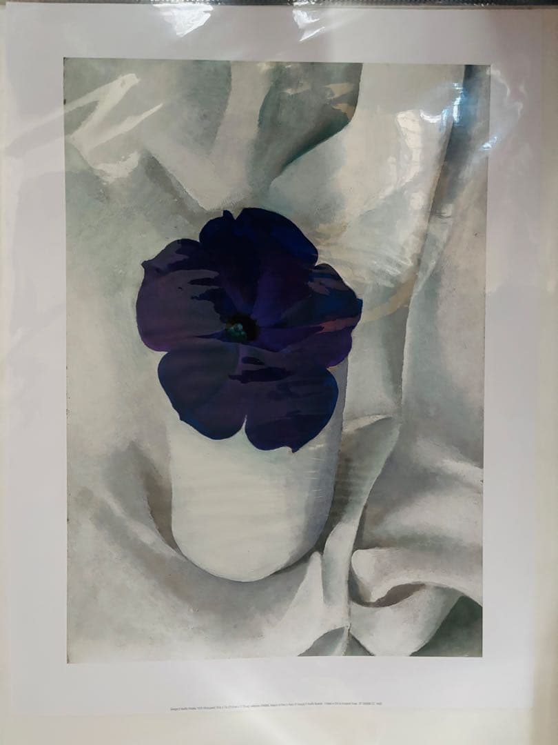 希少! ia O'Keeffe Petunia,1925 Poster