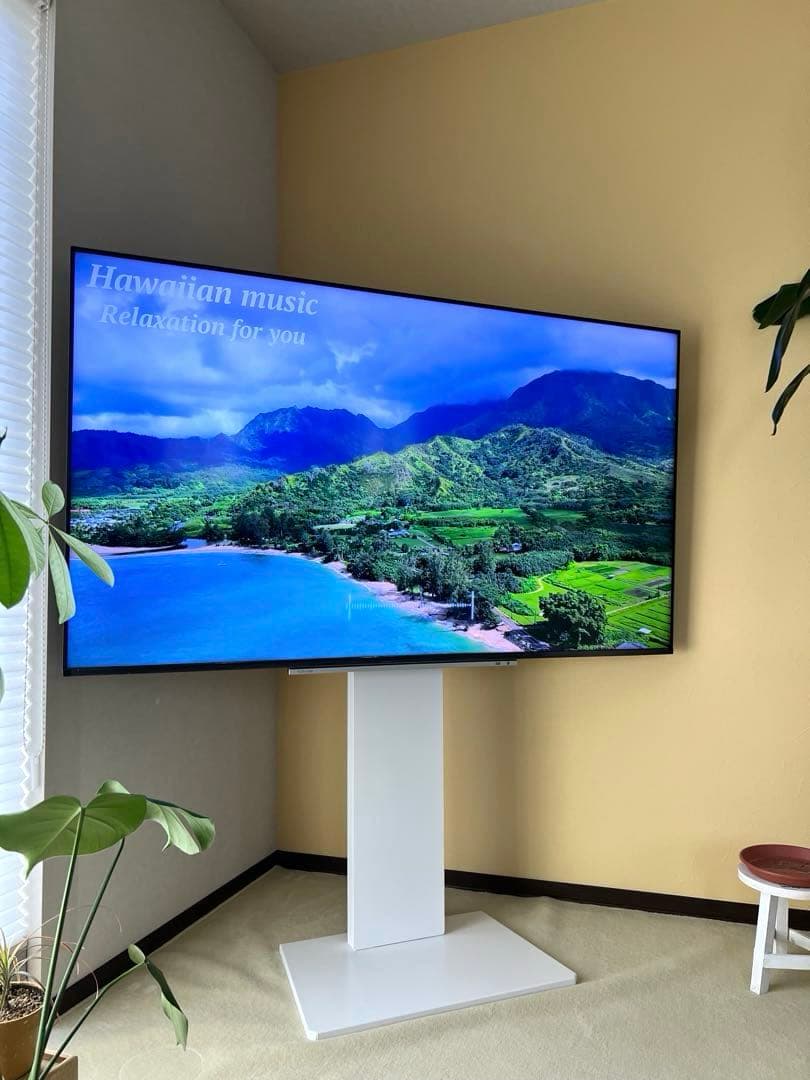 ⭐︎最終お値下げです⭐︎東芝 REGZA 4K液晶テレビ 65M540X