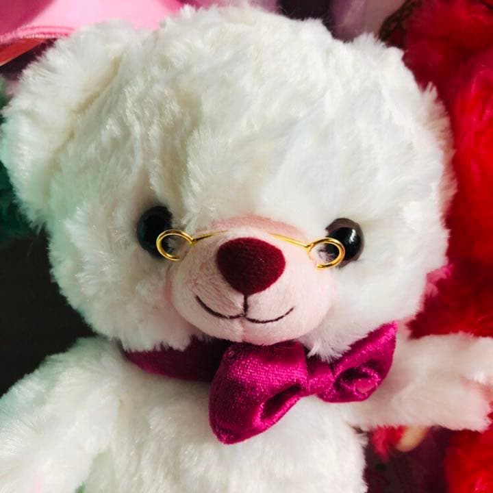 【全てタグ付き】ディズニーストアー ユニベア 5周年 不思議の国のアリス