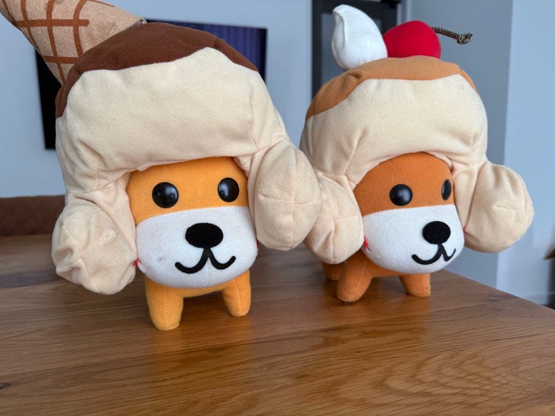 激レア アフロ犬 セブンティーンアイス