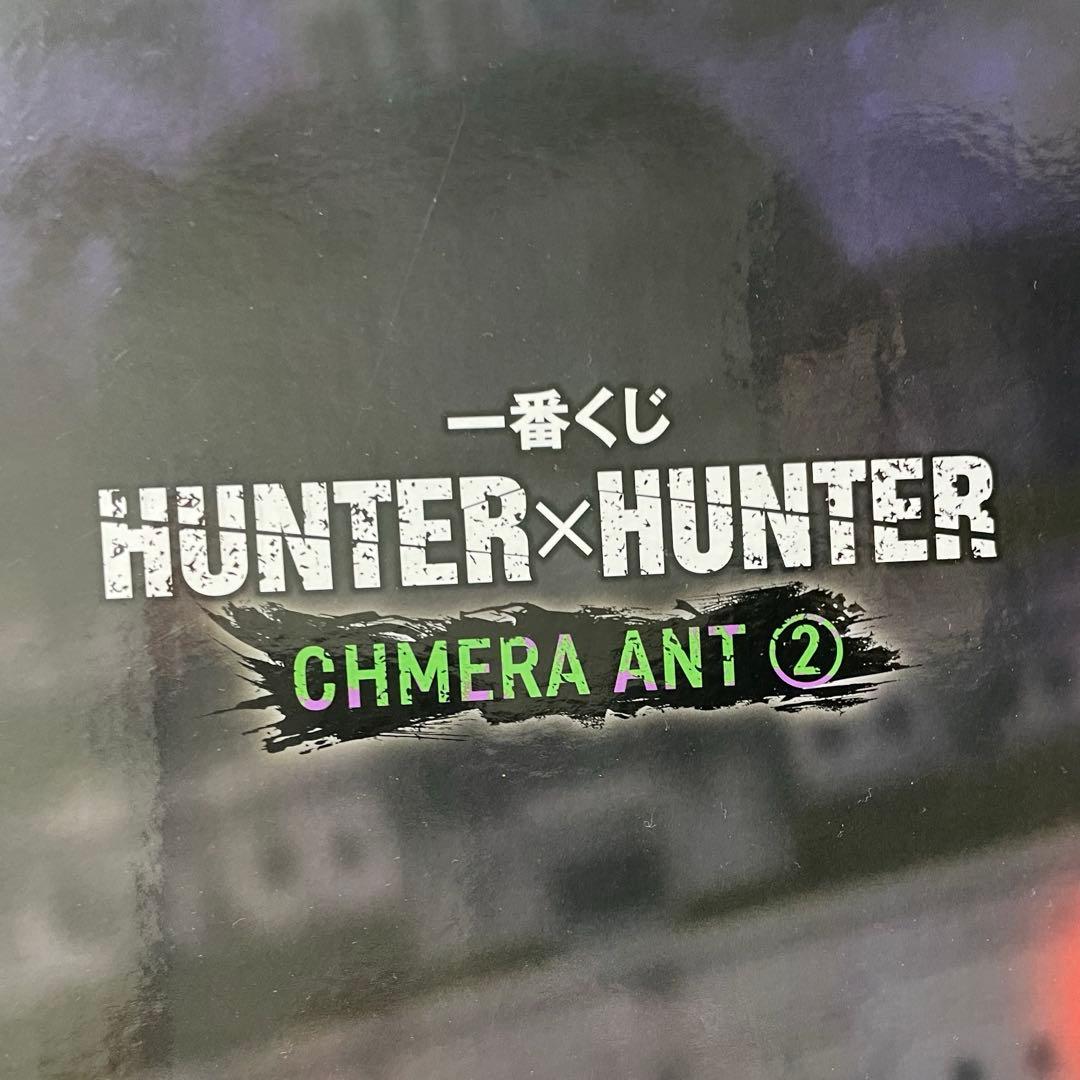 HUNTER×HUNTER ラストワン ゴン成長ver