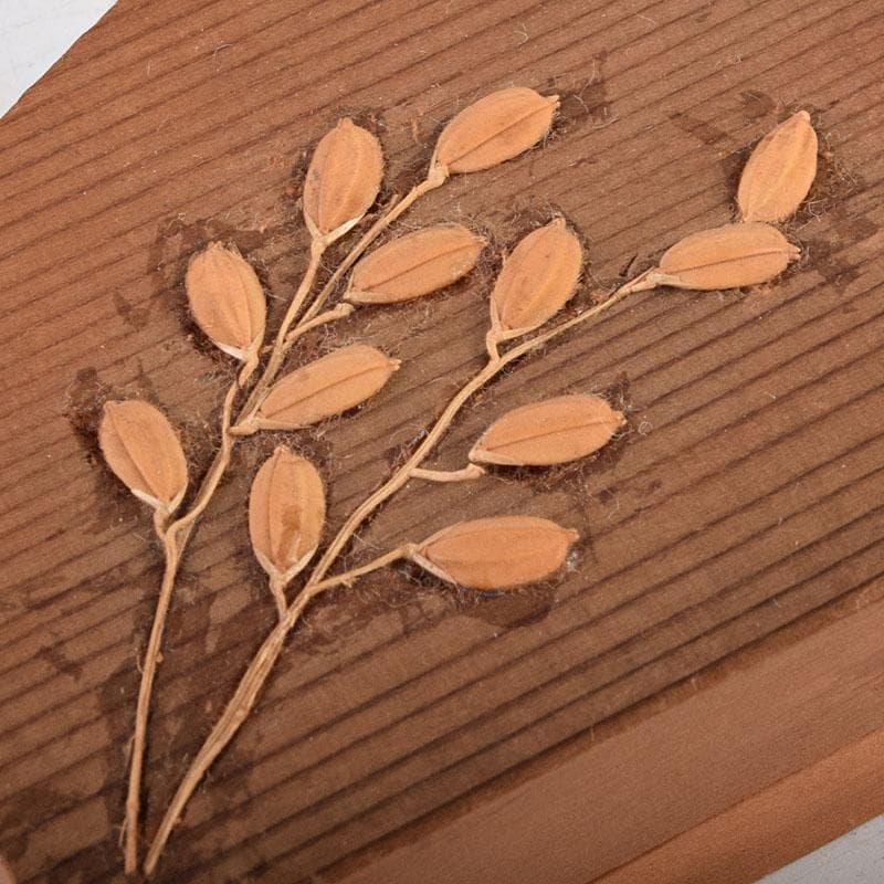 茶道具　木彫　月形香合　稲香合など　５点まとめて　V　R9255