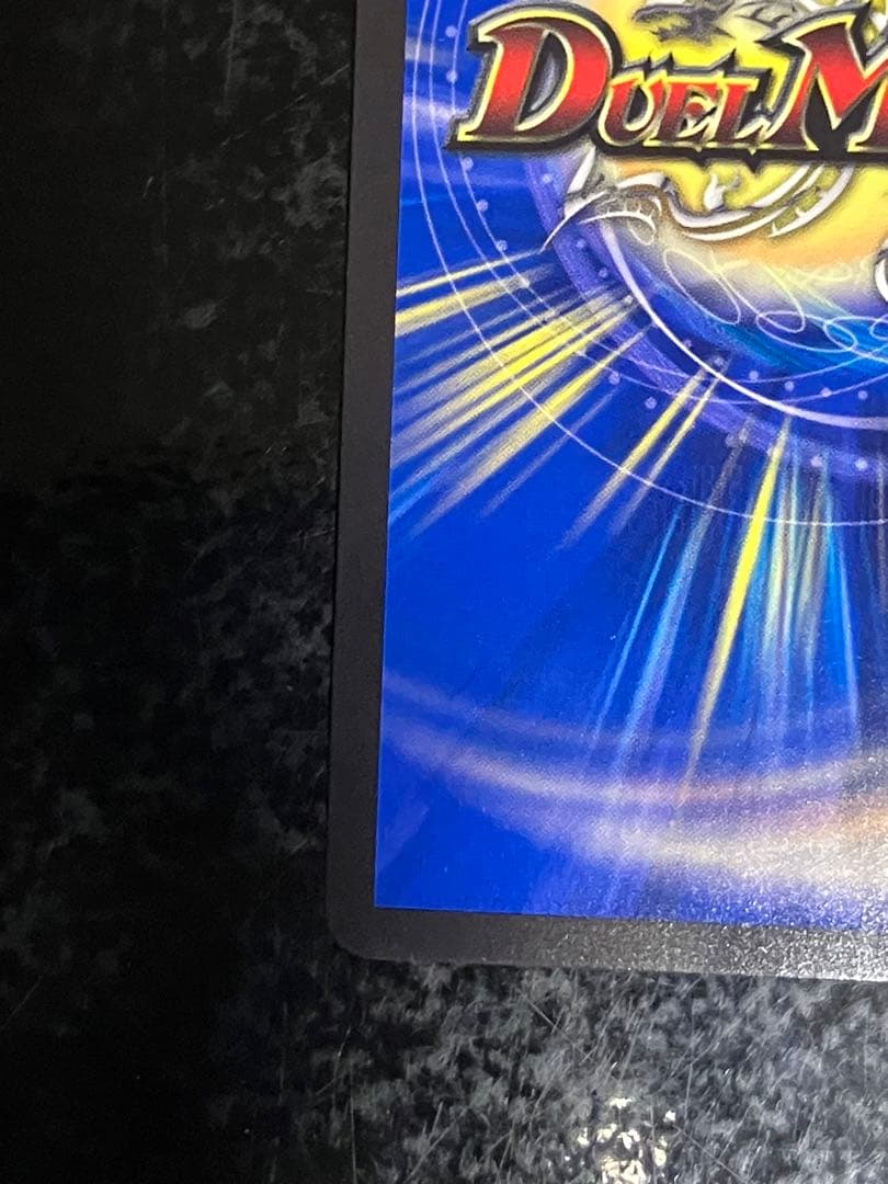 水上第九院 シャコガイル b