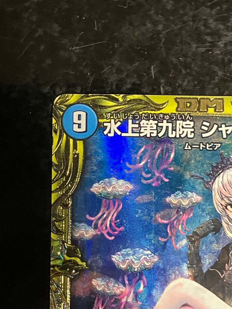 水上第九院 シャコガイル b