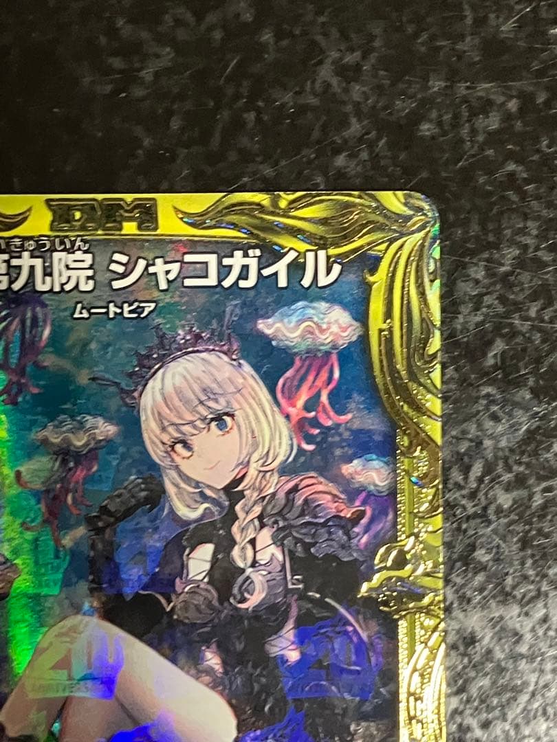 水上第九院 シャコガイル b