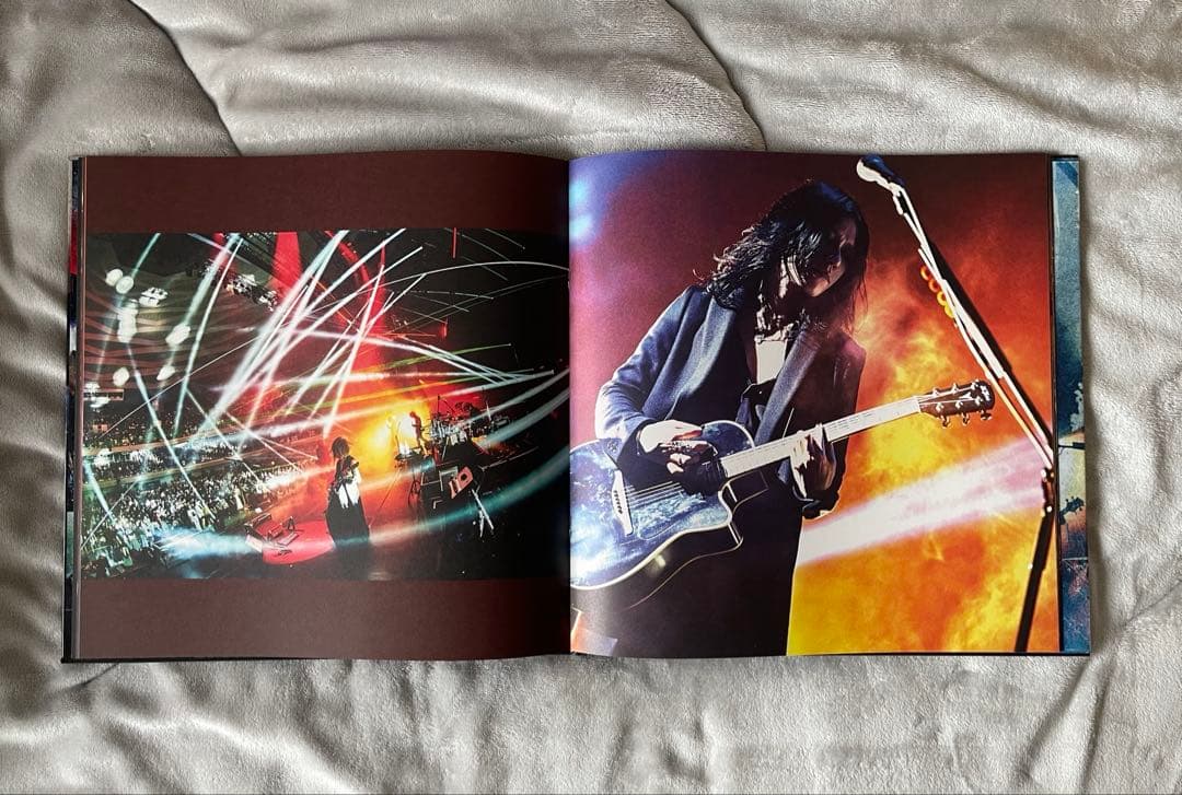 the GazettE MASS \"THE FINAL\" DVD 初回生産限定盤