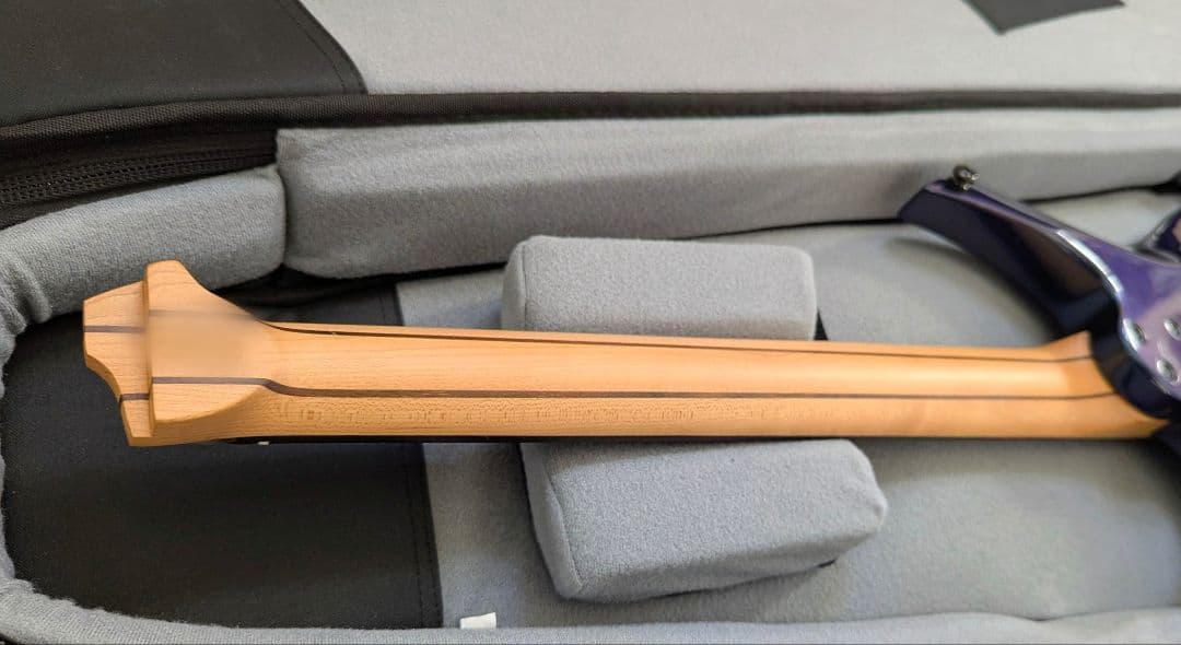 ギター HEX Guitars N600 G/UV