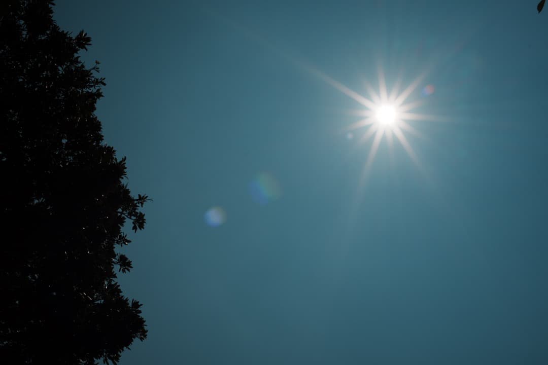 【整備＆テスト済】AI AF Nikkor 50mm F1.4 D 538