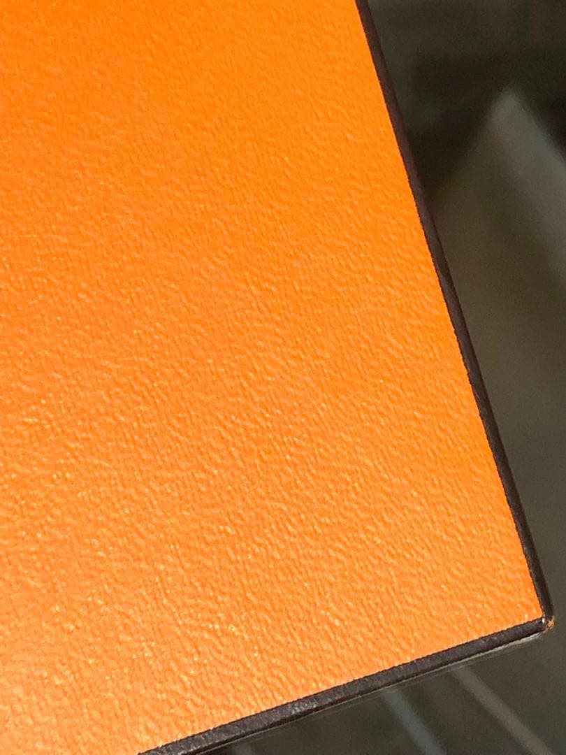 エルメス　シェーヌダンクル　特大ネックレスケース　希少品