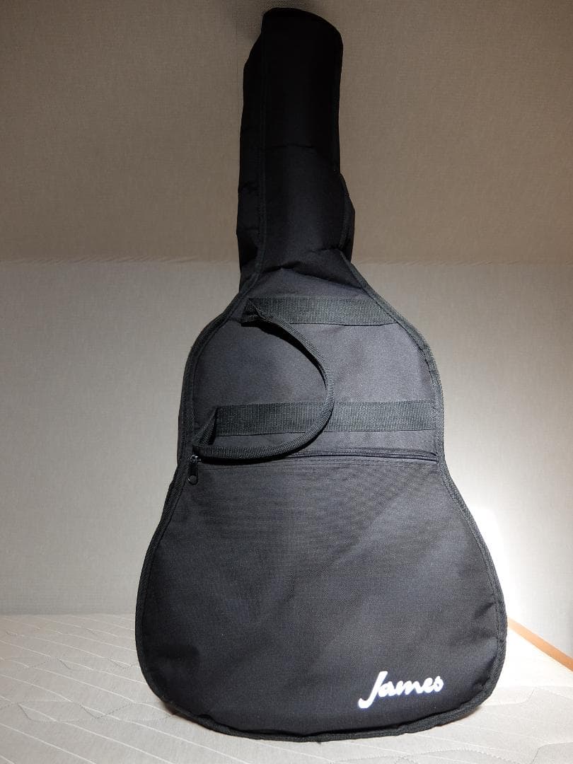James アコースティックギター サンバースト　初心者向け