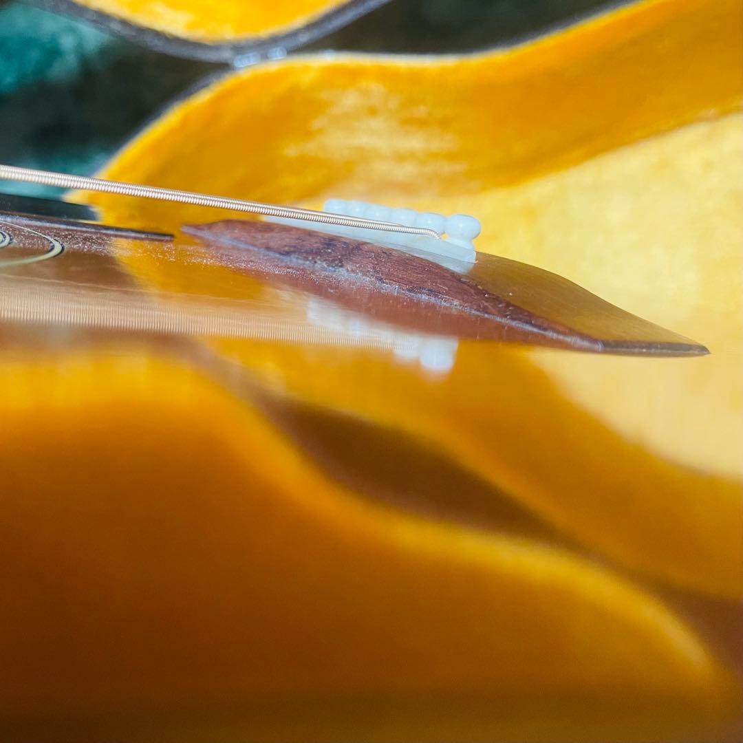 Chaki W-2G ハカランダ エレアコ ハードケース付き