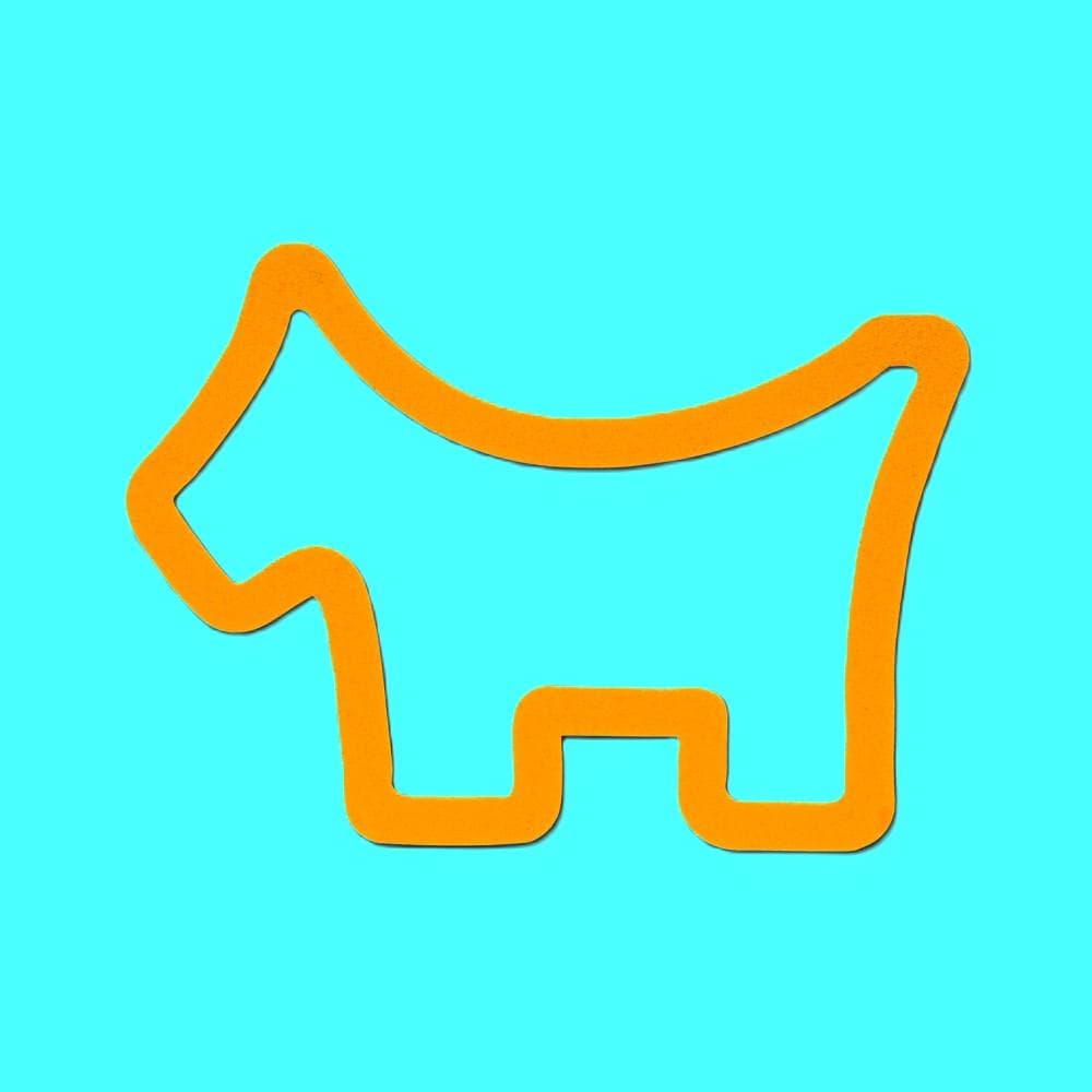 16日午後2時迄【明】スコッティキャメロン★2025クラブキャメロンキット