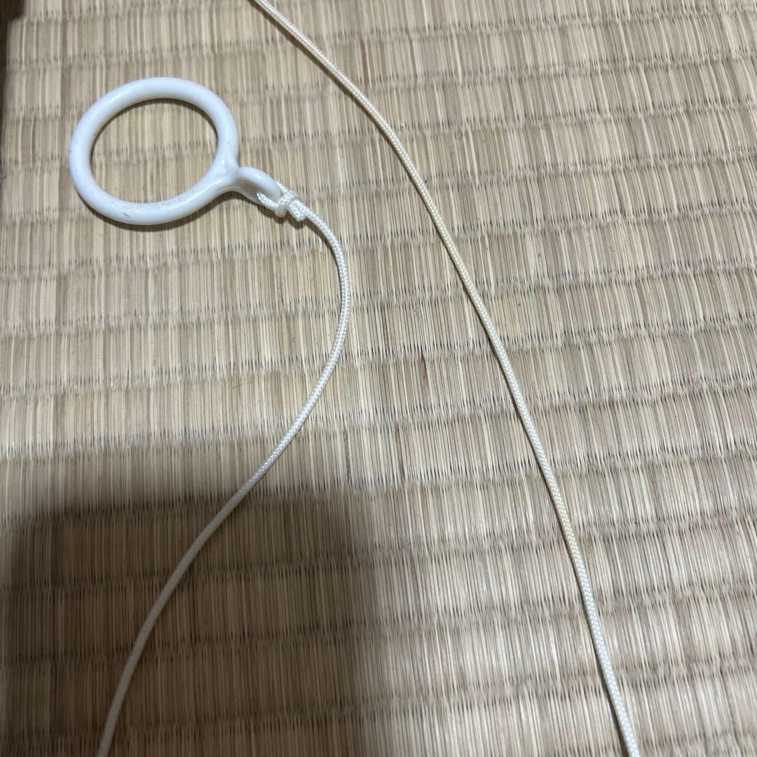 沸かし太郎SCH901付き　保温ヒーター　取扱説明書付き