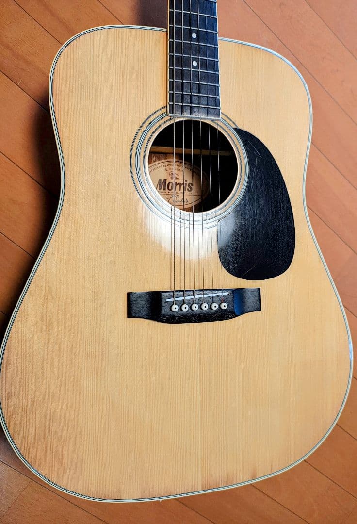 Morris W-20 アコースティックギター