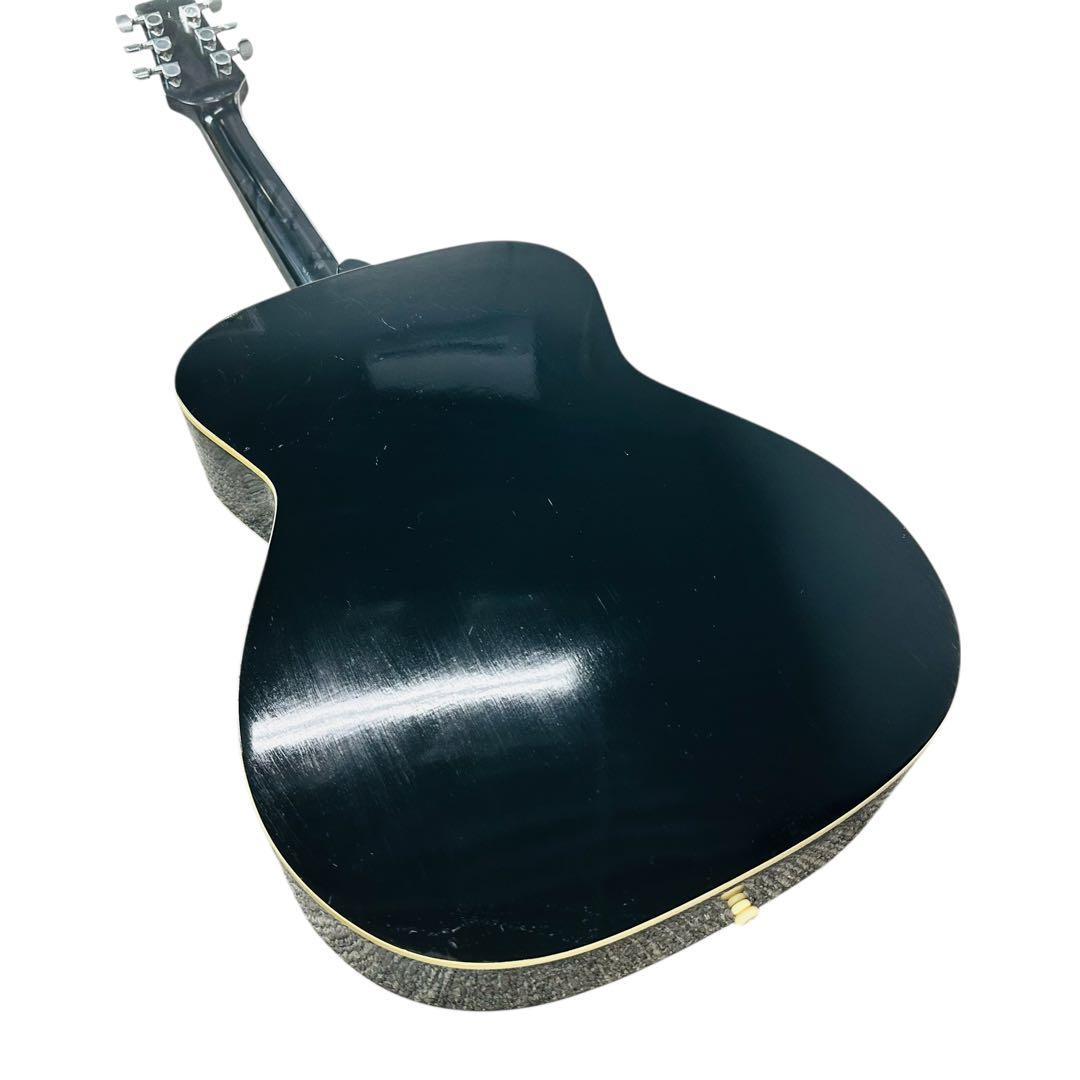 TAKAMINE タカミネ　アコースティックギター　T-F1