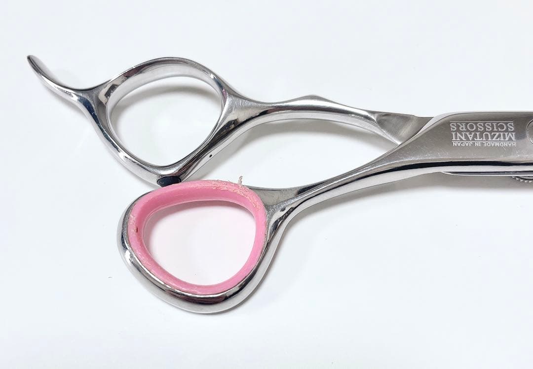 ミズタニシザーズ