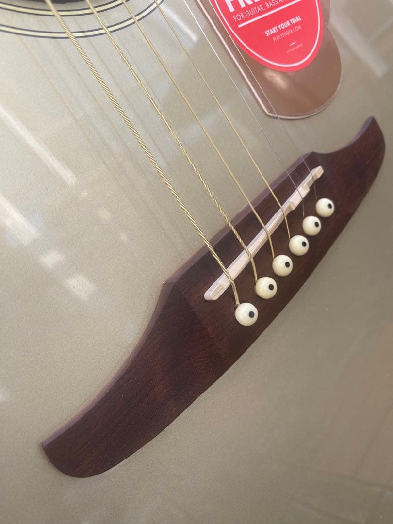 Fender Newporter Player (フェンダーニューポーター)