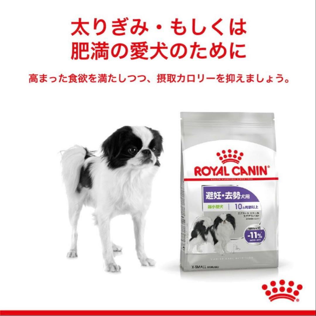 ロイヤルカナン エクストラ スモール ステアライズド 避妊 去勢犬用 1.5×6